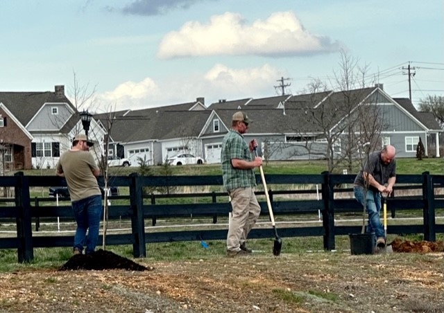 Service Project Planting Trees
